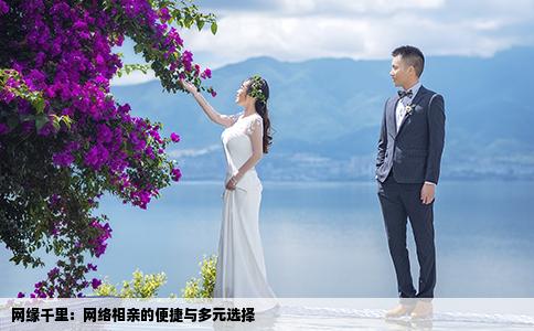 网缘千里：网络相亲的便捷与多元选择