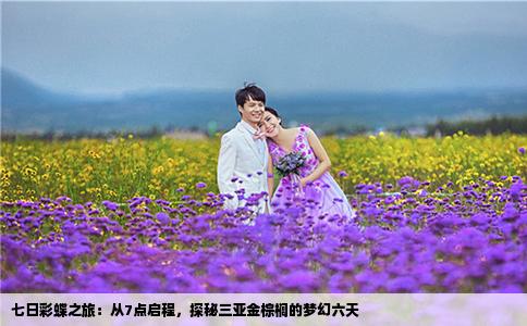 七日彩蝶之旅：从7点启程，探秘三亚金棕榈的梦幻六天